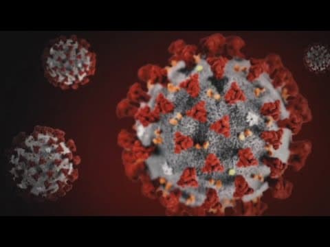 Wednesday marks 5 years since first COVID-19 case declared in Knox County