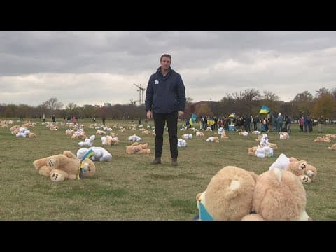 600 teddy bears placed on the National Mall represent Ukrainian children killed during war with Russ