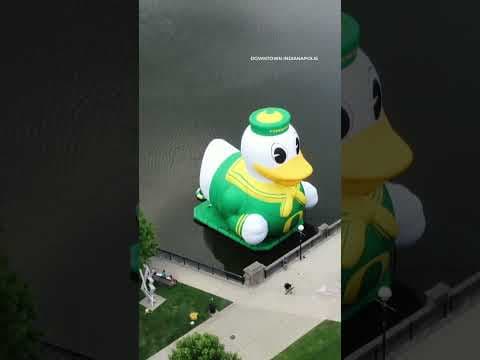 Giant inflatable duck pops up in Indianapolis for Big Ten media days