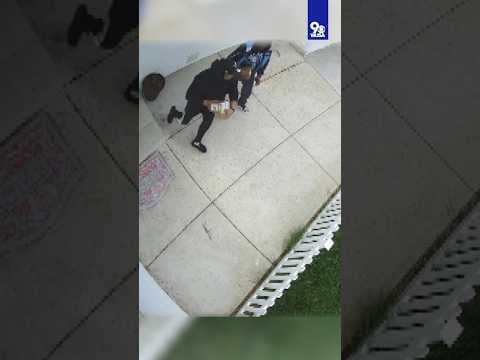 Porch Pirates caught stealing packages in Virginia