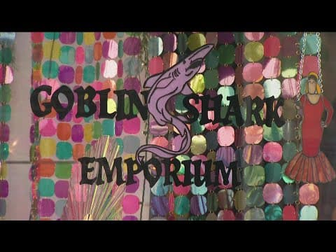 Shop Local | Goblin Shark Emporium