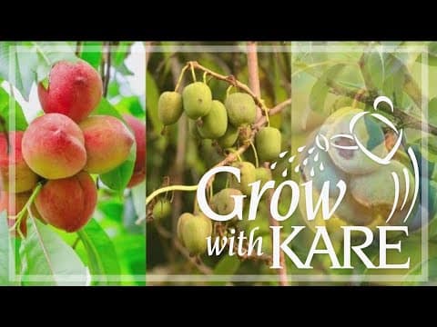 Grow with KARE: Top 10 Garden Trends for 2024