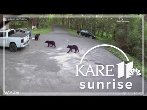 Momma bear spooks woman and her dog in Maple Grove