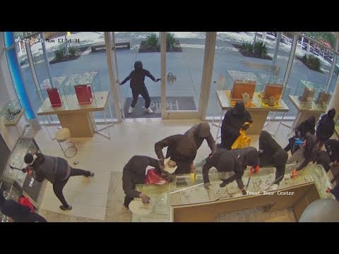 20 masked robbers storm California jewelry store, steal $1M