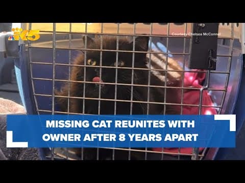 Missing cat reunites with owner after 8 years on the streets