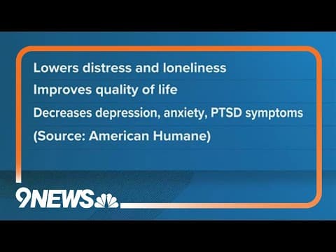 How can pets help seniors with their mental and physical health?