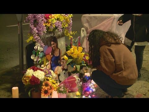 Family of woman killed in Arrive Silver Spring fire push for safety legislation a year after her dea