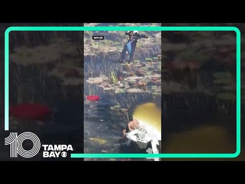 Pilot rescued after plane crash in #Florida #Everglades