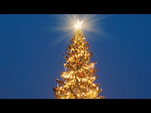 How to get tickets to the National Tree Lighting Ceremony