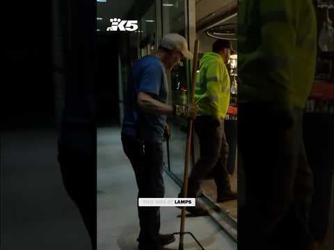 Car smashes into Lynnwood lamp store