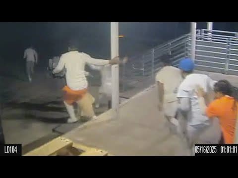 'Not guilty?' Legal expert weighs in on escapee pleas