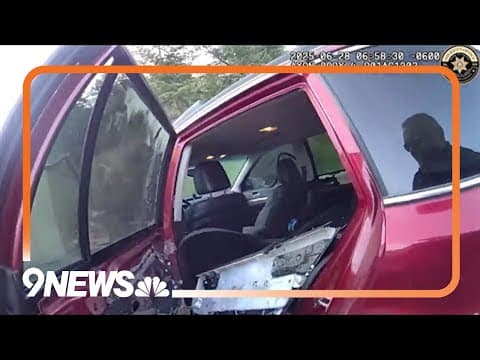 Bear makes a mess of unlocked car in Jeffco foothills