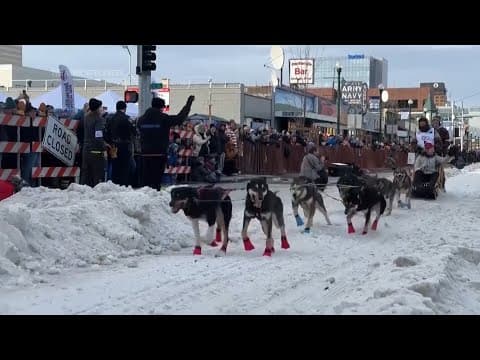 World's most famous sled dog race kicks off in Alaska