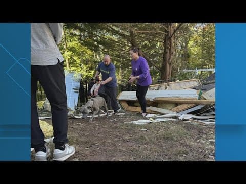 Haymarket house explosion: dog recovered safely after almost a week