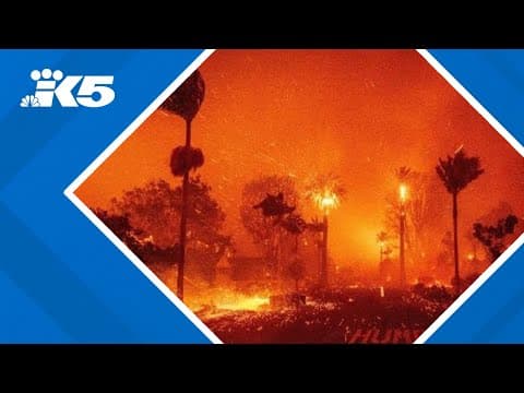 How did rain, Santa Ana winds fuel the Los Angeles wildfires? | KING 5 Weather
