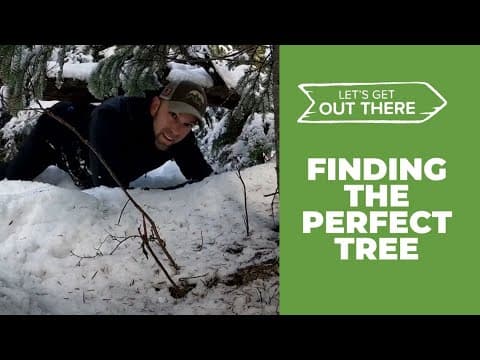 Here's how you can harvest a Christmas tree near Mount Hood