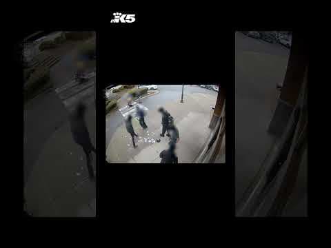 13-year-old accused of stealing woman's purse before punching her arrested