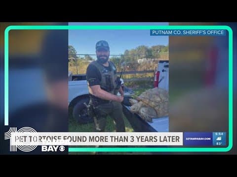 Tortoise missing since 2020 in Florida found, returned to owner