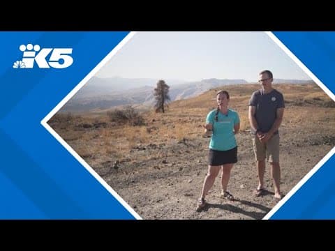 Paradise under pressure: The Enchantments buckling under trash, waste and overcrowding