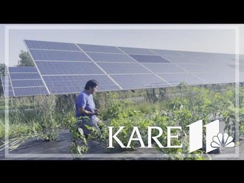Pilot project mixes solar energy and traditional farming