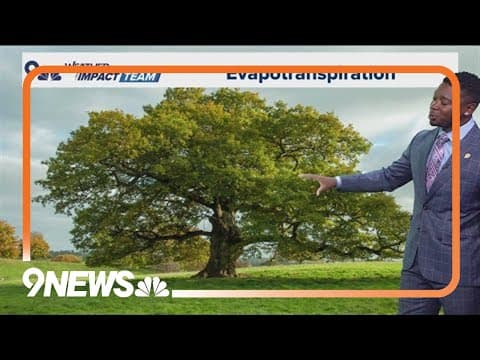 What is evapotranspiration?
