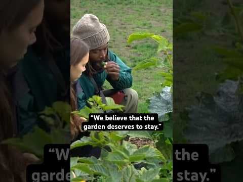 Community organizers to fight Seattle’s plan to remove Black Lives Memorial Garden