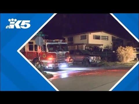 Woman injured, dog killed in Bellevue fire