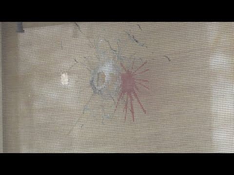 Man accused of shooting into 4 Indianapolis homes