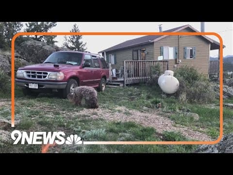 Family's cabin reduced to ashes after Alexander Mountain Fire