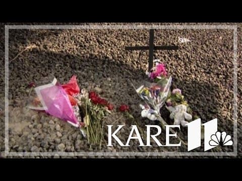 Violence Free Minnesota records an intimate partner homicide every other week