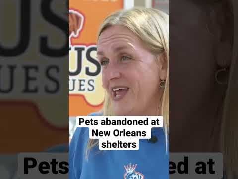 Pet owners caught dumping dogs at overcrowded shelter