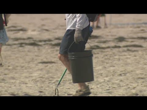 Volunteer crews pick up trash day after the Fourth of July