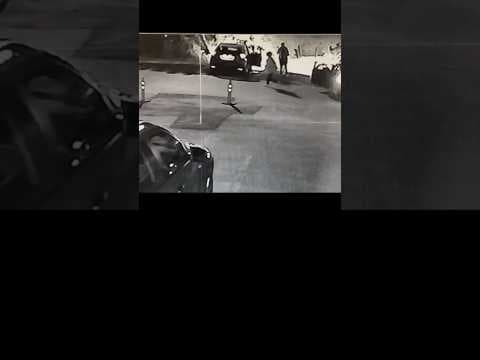 Portland chef carjacked while foraging for figs #crime