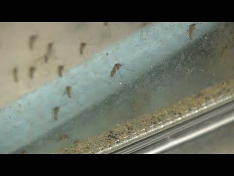 Harris County officials are preparing for a busy mosquito season