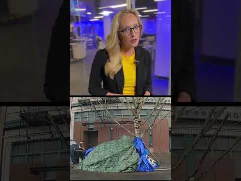 Street outreach put in the spotlight by Multnomah County commissioners