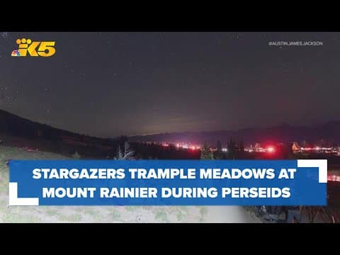 Meadows trampled as crowds flock to Mount Rainier National Park for Perseids