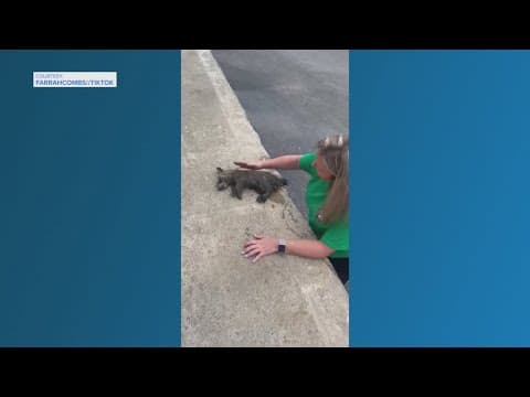 Nurse rescues raccoon with CPR after dumpster moonshine mishap