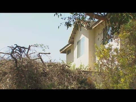 Homeowner raises fire risk concerns with overgrown brush in Chula Vista