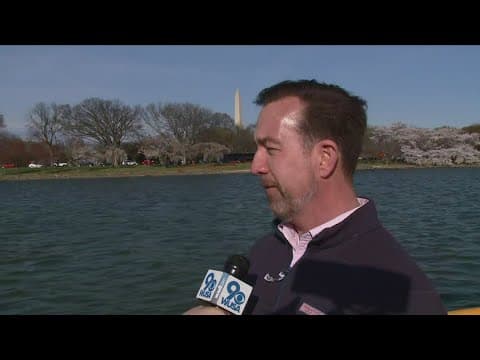 How to see DC's cherry blossoms by boat