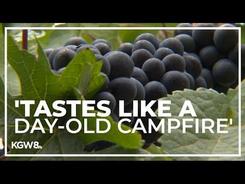 Understanding how wildfire smoke alters the taste in wine