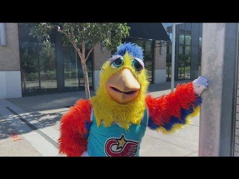 Why did the Chicken cross the road? To cheer up Padres fans of course!