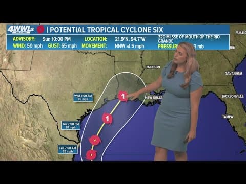 Sunday 10 PM Tropical Update: System forms in the southern Gulf, forecast to become a hurricane