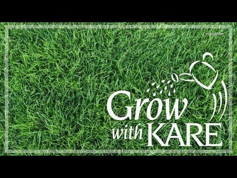 Grow with KARE: Late summer lawn care