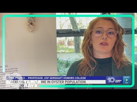 USF students are 3D-printing 'oyster bricks' to build back declining populations