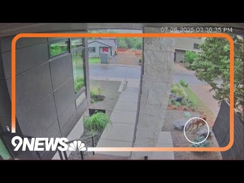 CPW urged pet owners urged to be vigilant following mountain lion attack