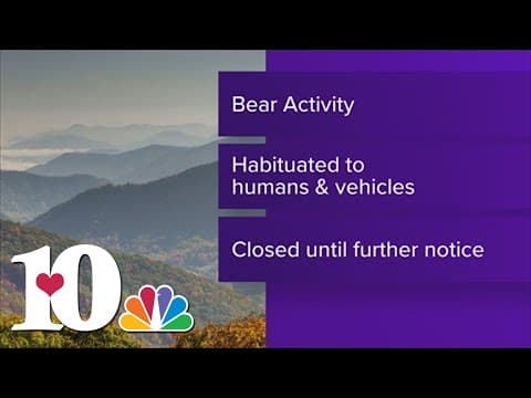 GSMNP: Rich Mountain Road closed in the Smokies due to bear activity