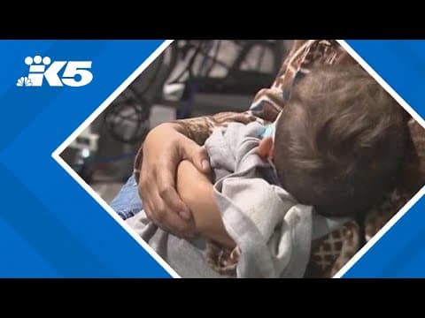 WA Gov. Bob Ferguson signs executive order in preparation for potential 'mass deportations'