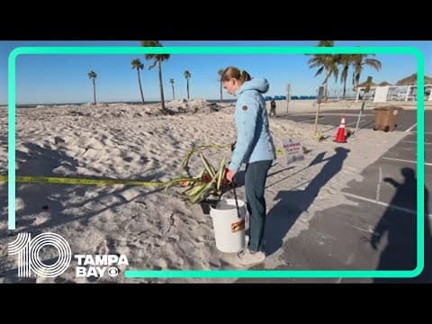 'Everything you do matters': Passion meets purpose to cleanup Madeira Beach