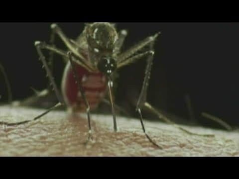 Parts of Knox Co. to be sprayed for West Nile Virus, officials say spray poses no threat