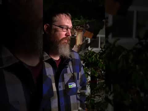 Whatcom County couple and pets unharmed after tree crashes into home during bomb cyclone